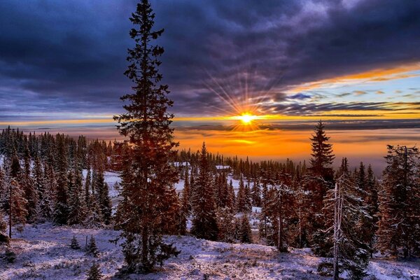 Dawn on the snowy nature in Europe