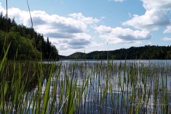 Paisaje de un hermoso lago europeo