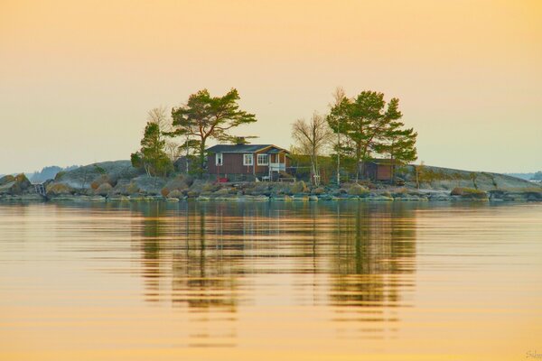 Reflection of trees in the quiet waters of the lake