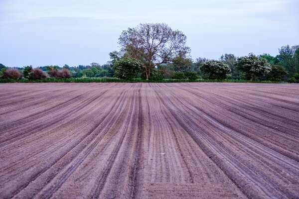 The beauties of European agriculture