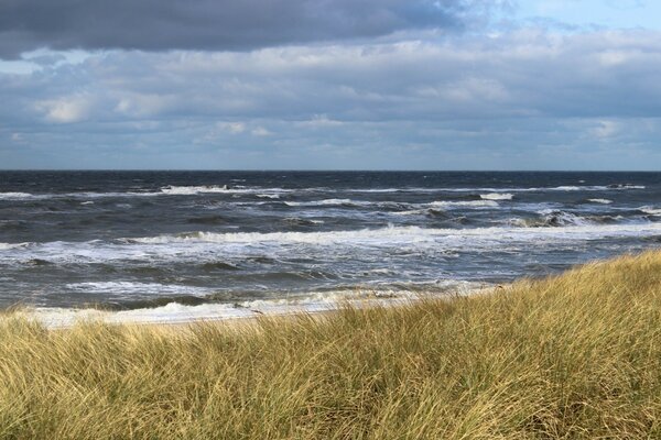 Brzeg oceanu podczas burzy