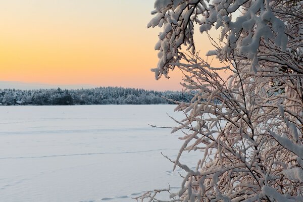 Winter landscape with sunset