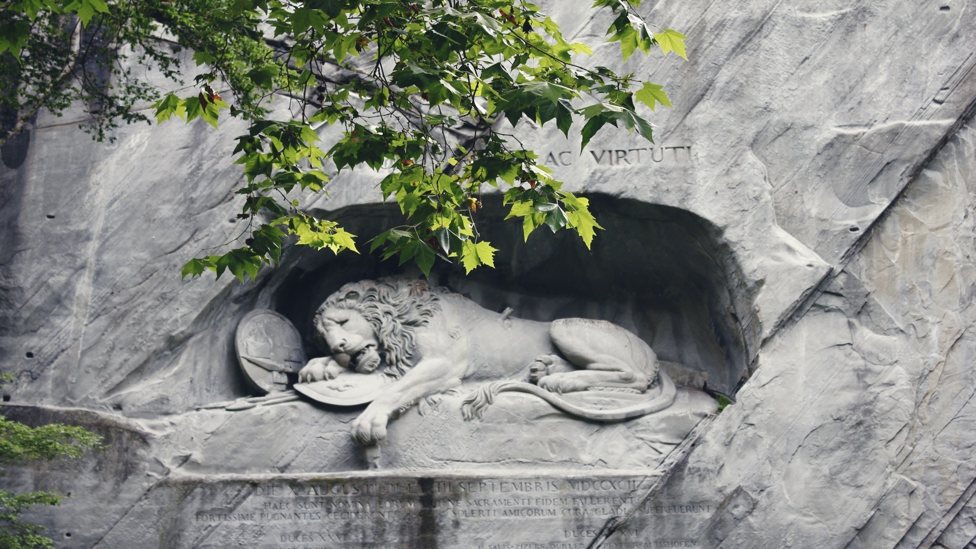 europe nature eau pierre à l extérieur arbre feuille parc voyage