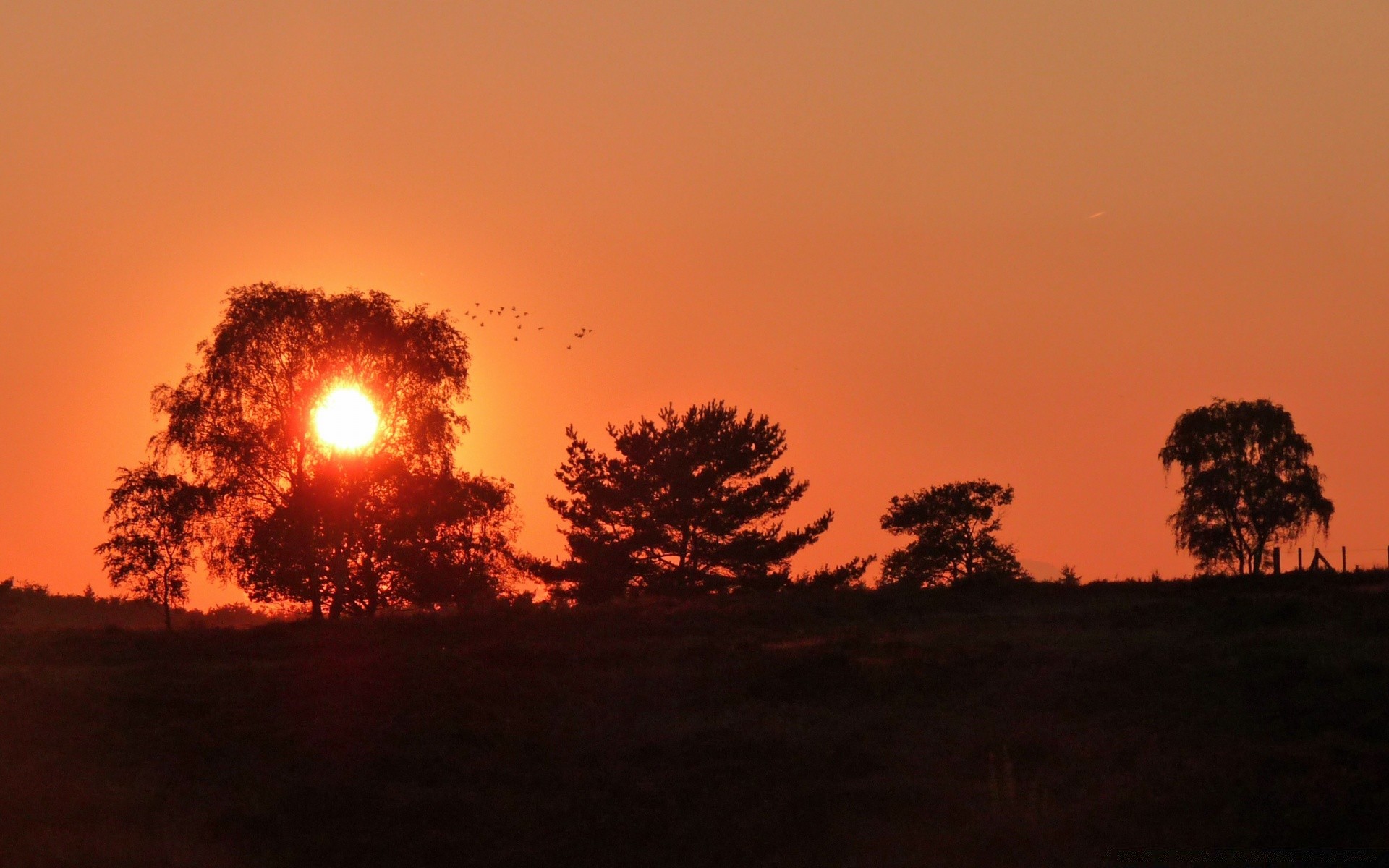 l europe coucher du soleil silhouette aube soir rétro-éclairé paysage crépuscule soleil arbre ciel à l extérieur brouillard lumière nature