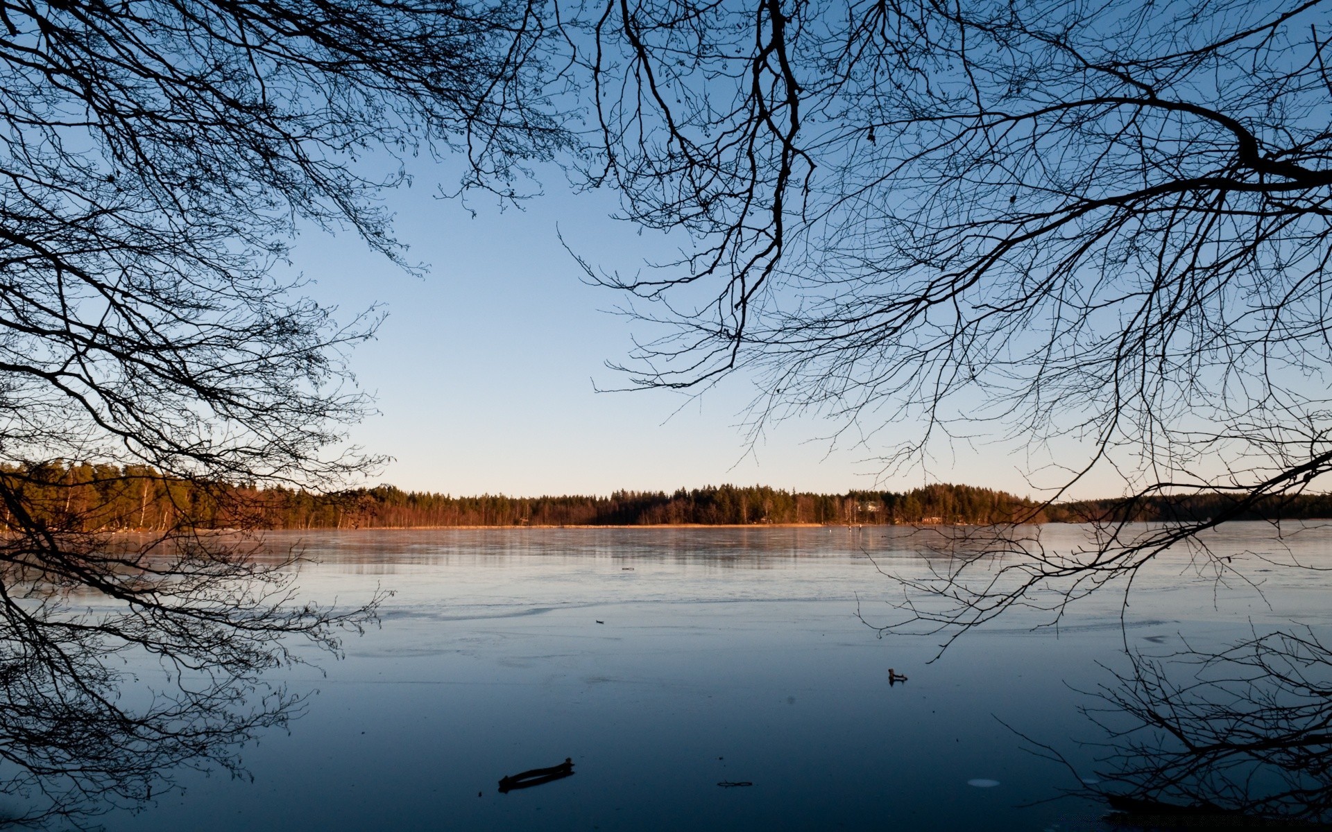 europa inverno paesaggio albero freddo neve legno natura stagione tempo riflessione alba autunno lago congelato scenico ramo acqua ghiaccio luce