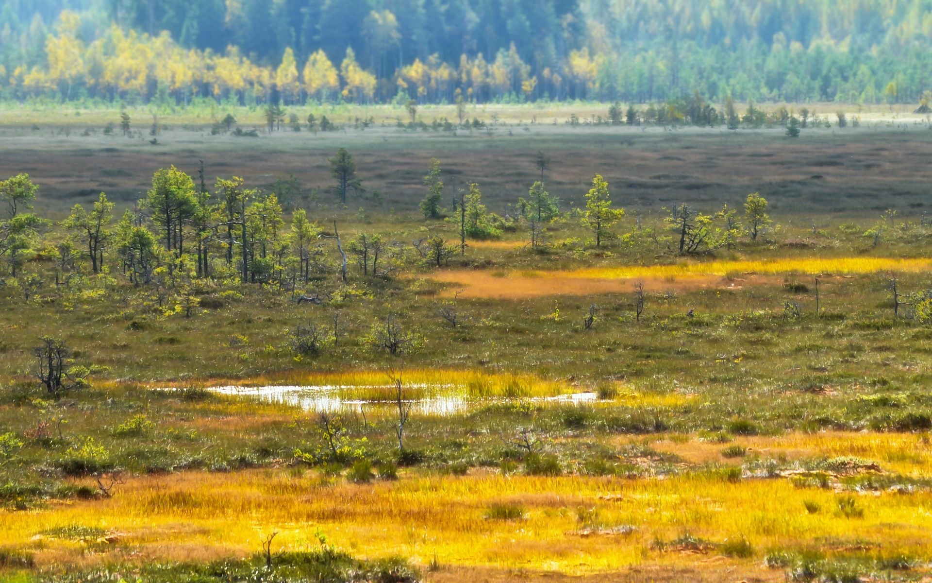 europa krajobraz natura pole drzewo sianokosy niebo sceniczny trawa rolnictwo na zewnątrz krajobrazy drewno gospodarstwo spektakl wiejski scena podróż sezon wzgórze