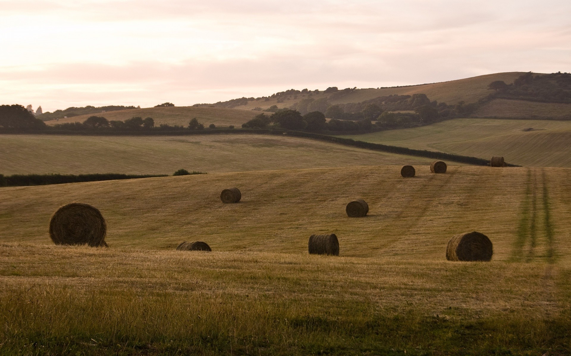 europa paisaje heno tierras cultivadas agricultura granja bale pastizales campo colina puesta de sol campo pasto paja trigo cielo al aire libre