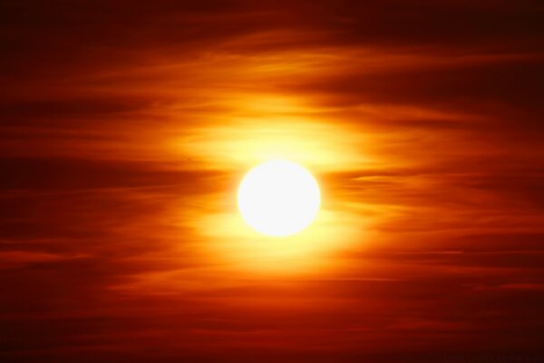 Der purpurrote Sonnenuntergang der hellen Sonne