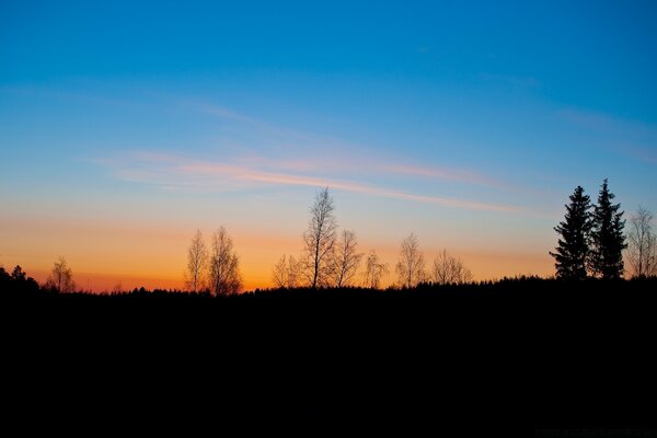 Autumn dawn in the European forest