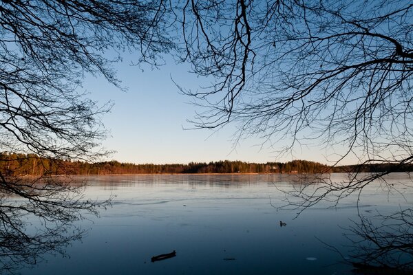 Paisagem de inverno com vista para a água