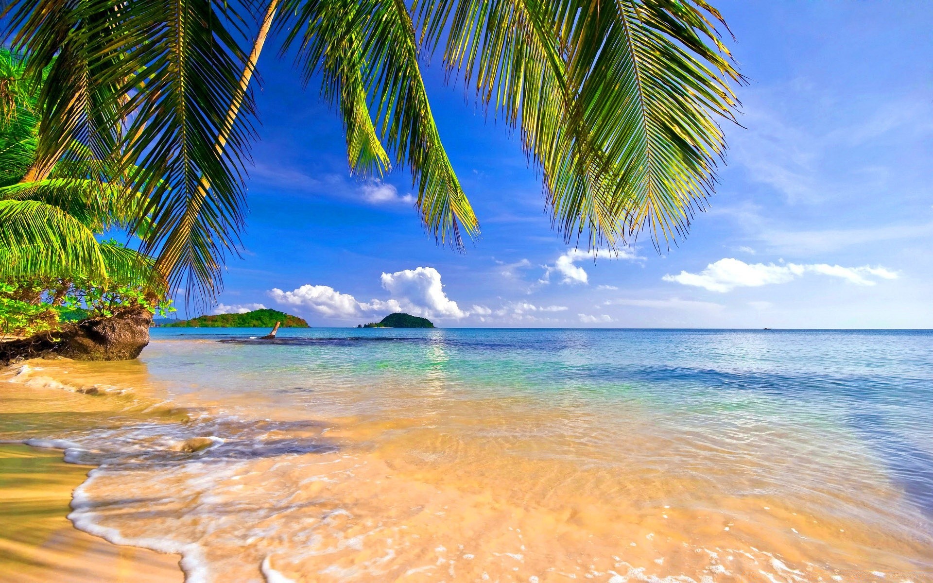 islands tropical beach sand seashore summer water ocean travel paradise palm vacation island exotic seascape idyllic sun relaxation coconut resort