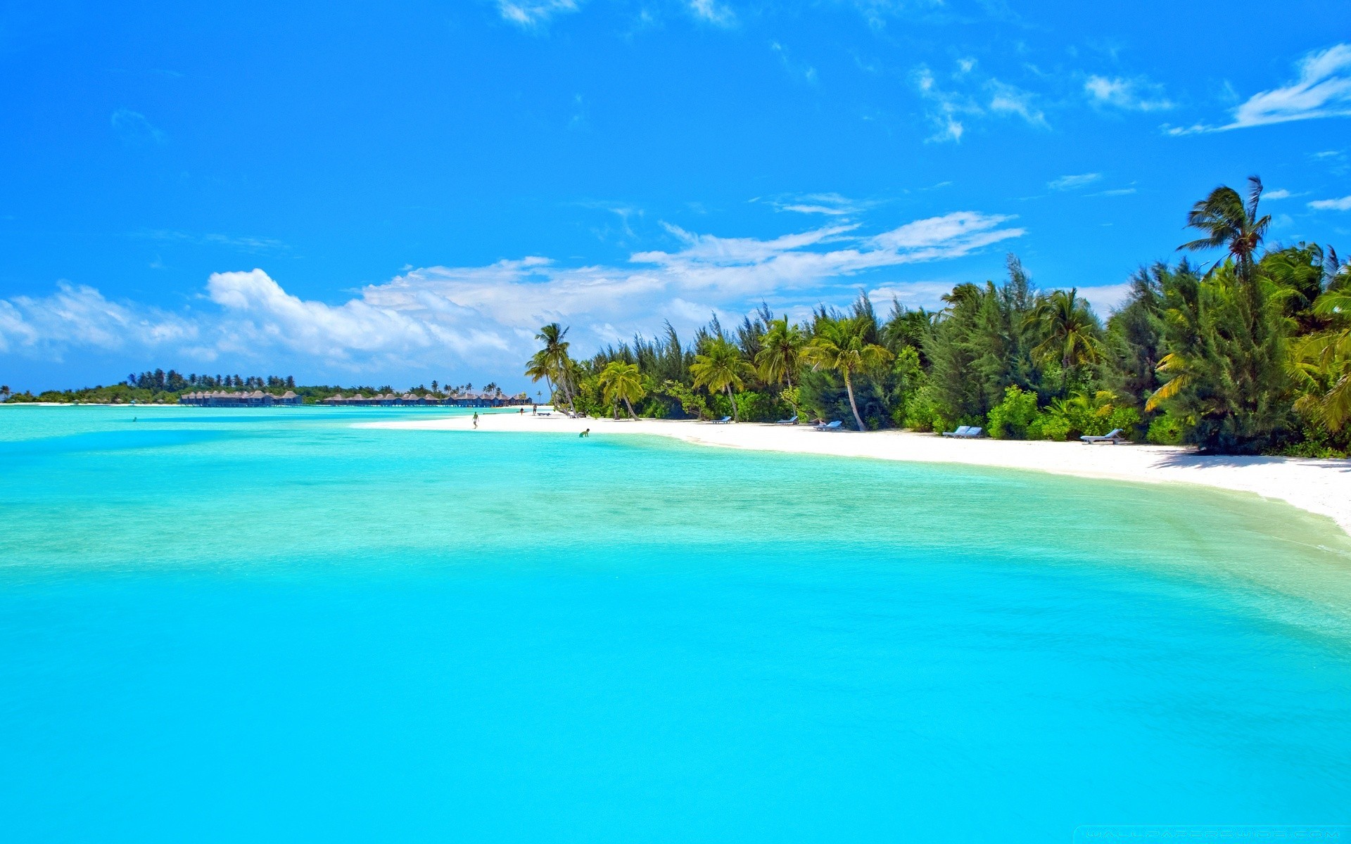 îles eau sable tropical voyage idylle été plage île turquoise ciel mer nature paysage chaud