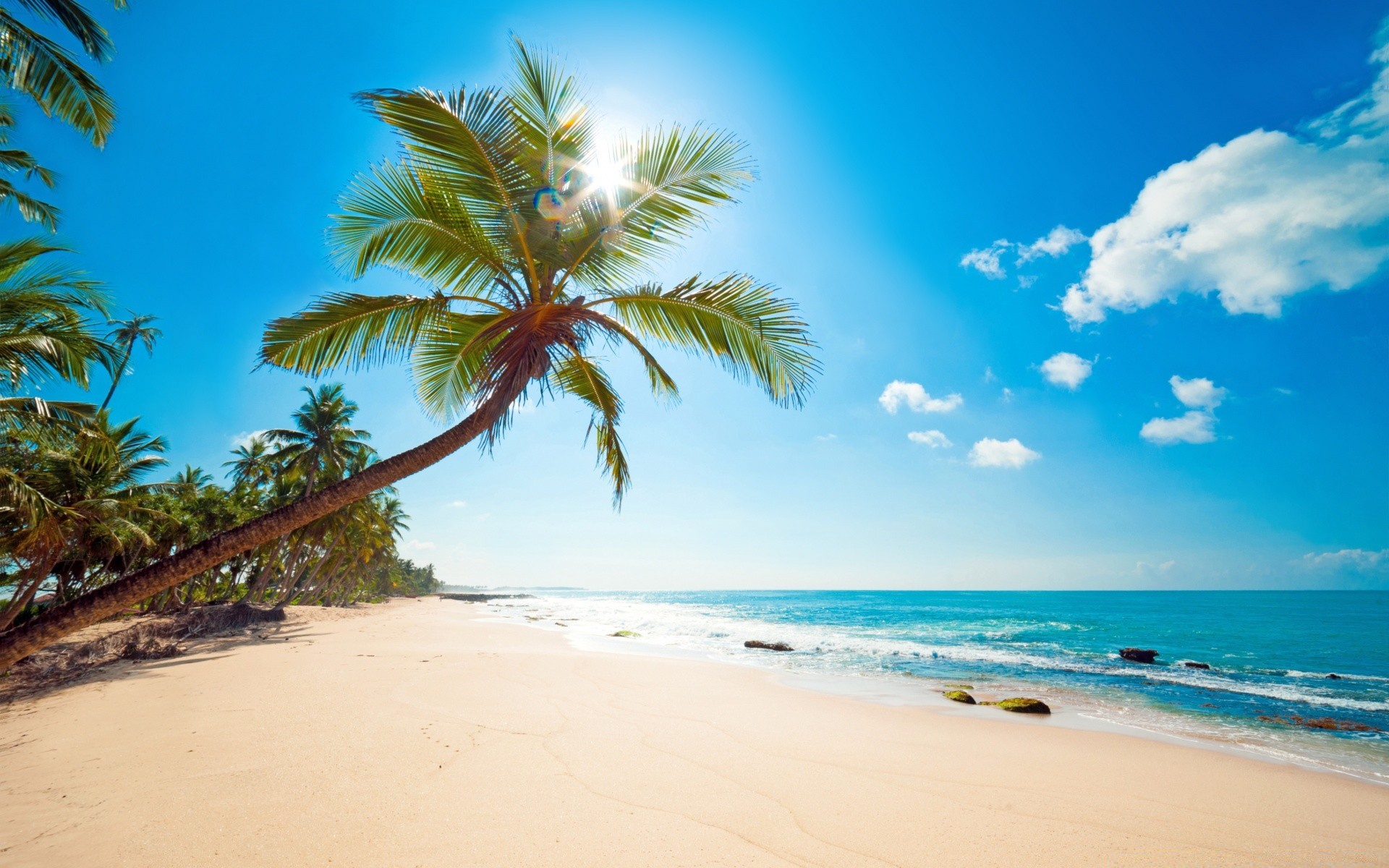 îles sable plage tropical mer océan paradis vacances paysage idylle île station balnéaire été voyage exotique soleil eau détente côte palm surf