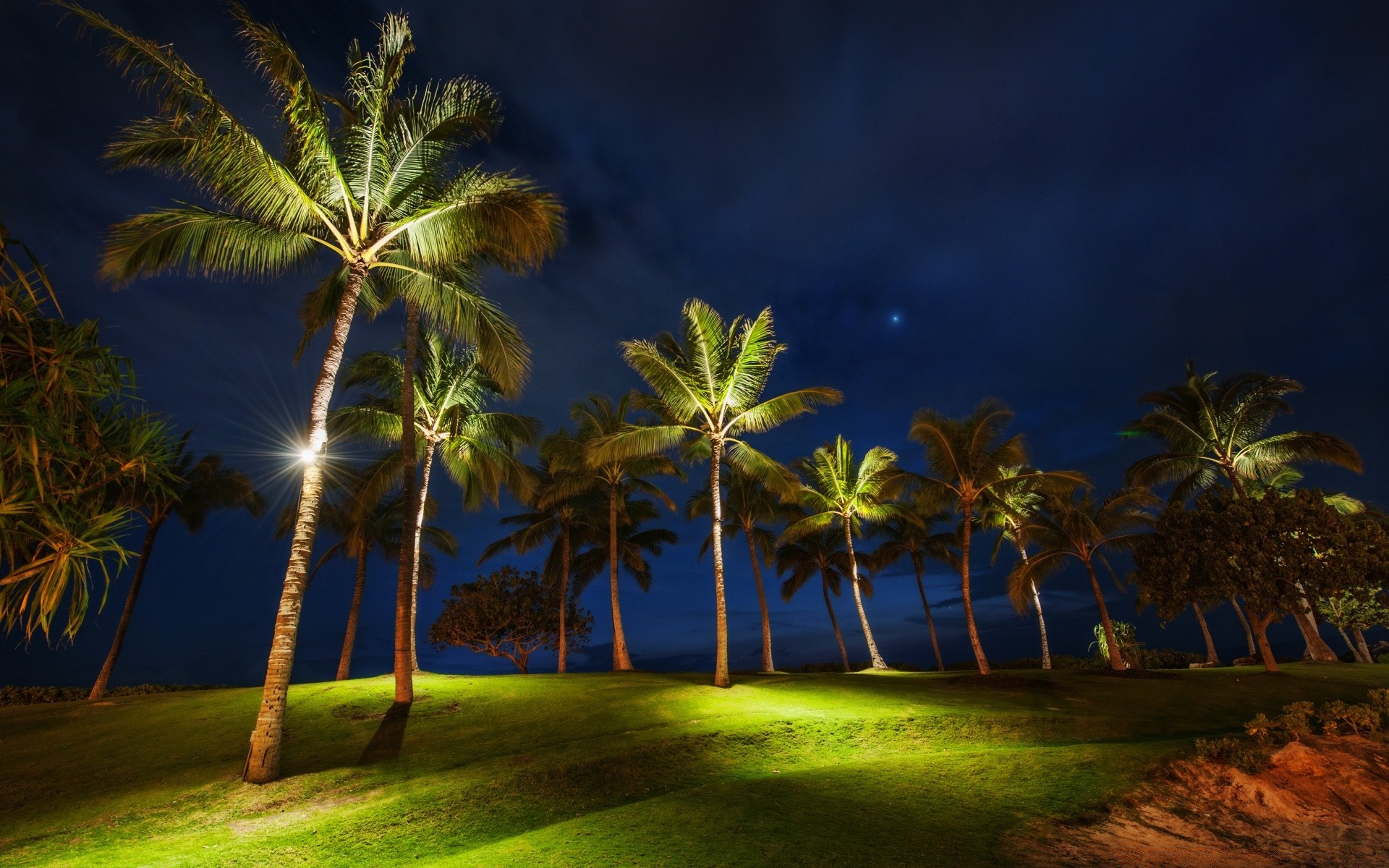 île arbre plage palmiers tropical voyage soleil mer idylle île noix de coco océan eau sable nature ciel vacances