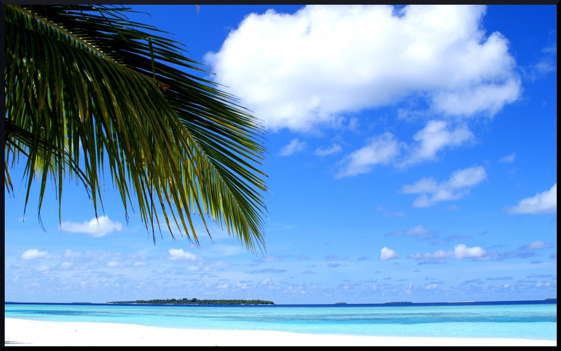 inseln sommer tropisch sand wasser strand idylle sonne natur türkis himmel gutes wetter meer ozean reisen landschaft insel meer entspannung urlaub