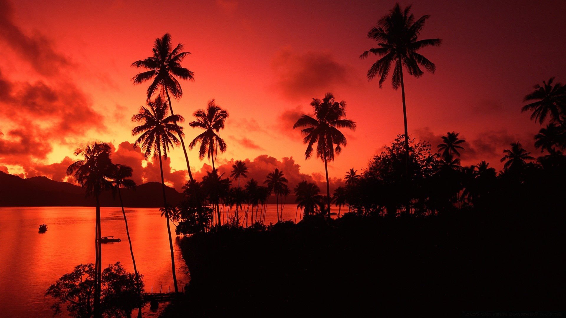 ilhas palma pôr do sol sol praia árvore tropical silhueta coco ilha amanhecer noite iluminado verão mares férias