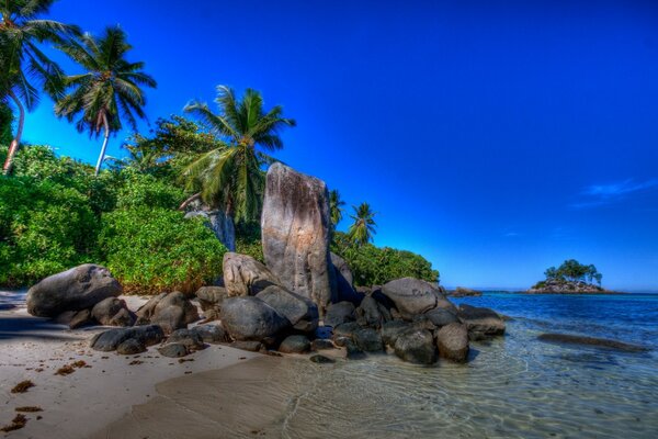 Ilha tropical com praia e mar