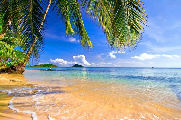 Tropical beach, sea and sand