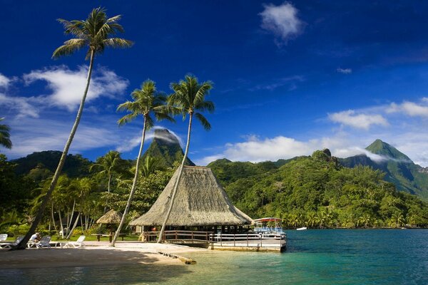 A house with a thatched roof on a tropical island