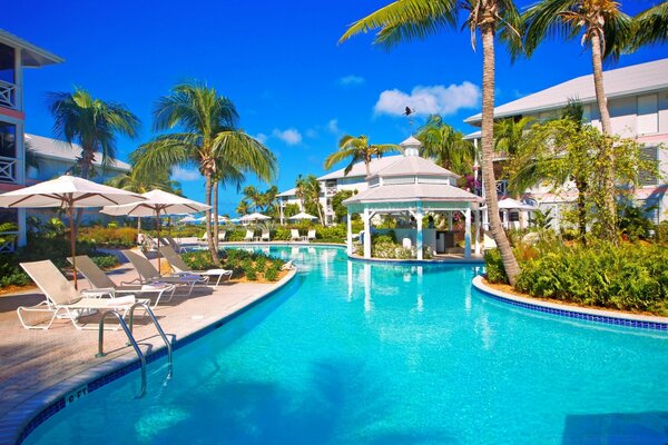 Swimming pool with blue water and sun loungers