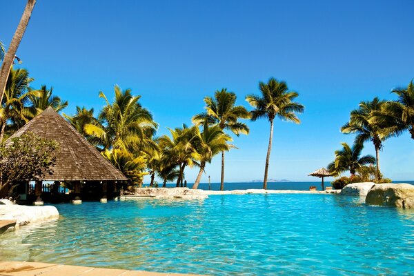 Tropical hotel with a raised pool