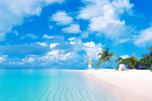A tropical island. Beach, water, sand