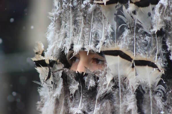 Hiver glacial hiver froid