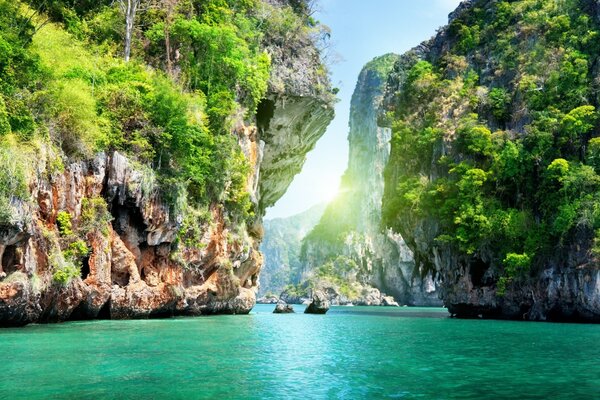 Îles tropicales d une beauté incroyable