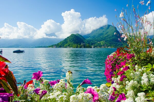 An island with blue water on a background of flowers