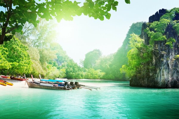 Paisaje tropical con agua, barcos y bosque