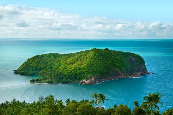 Île couverte de verdure, au milieu de la mer