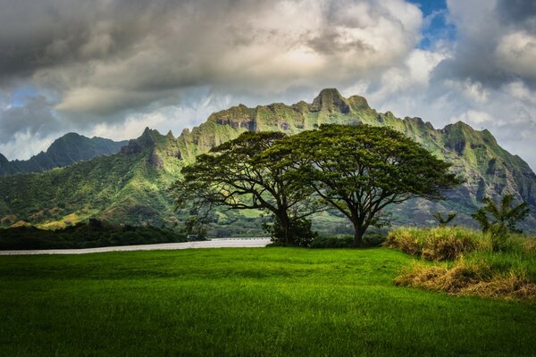 Paisagem de montanhas, árvores e grama