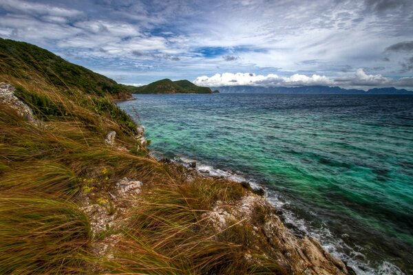 The wind bends the grass on the seashore