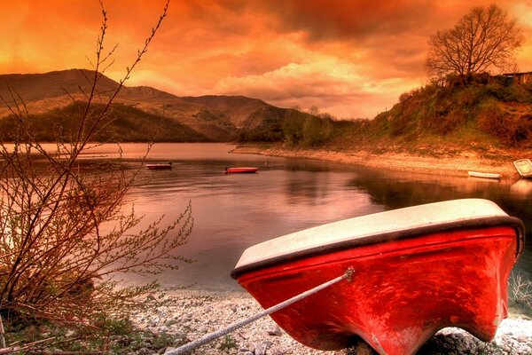 A quiet sunset by the water in the European wilderness