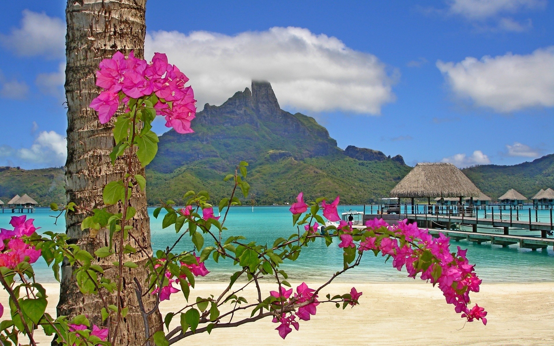 insel natur reisen himmel sommer baum tropisch wasser schön landschaft blume im freien meer urlaub tourismus strand insel berge meer