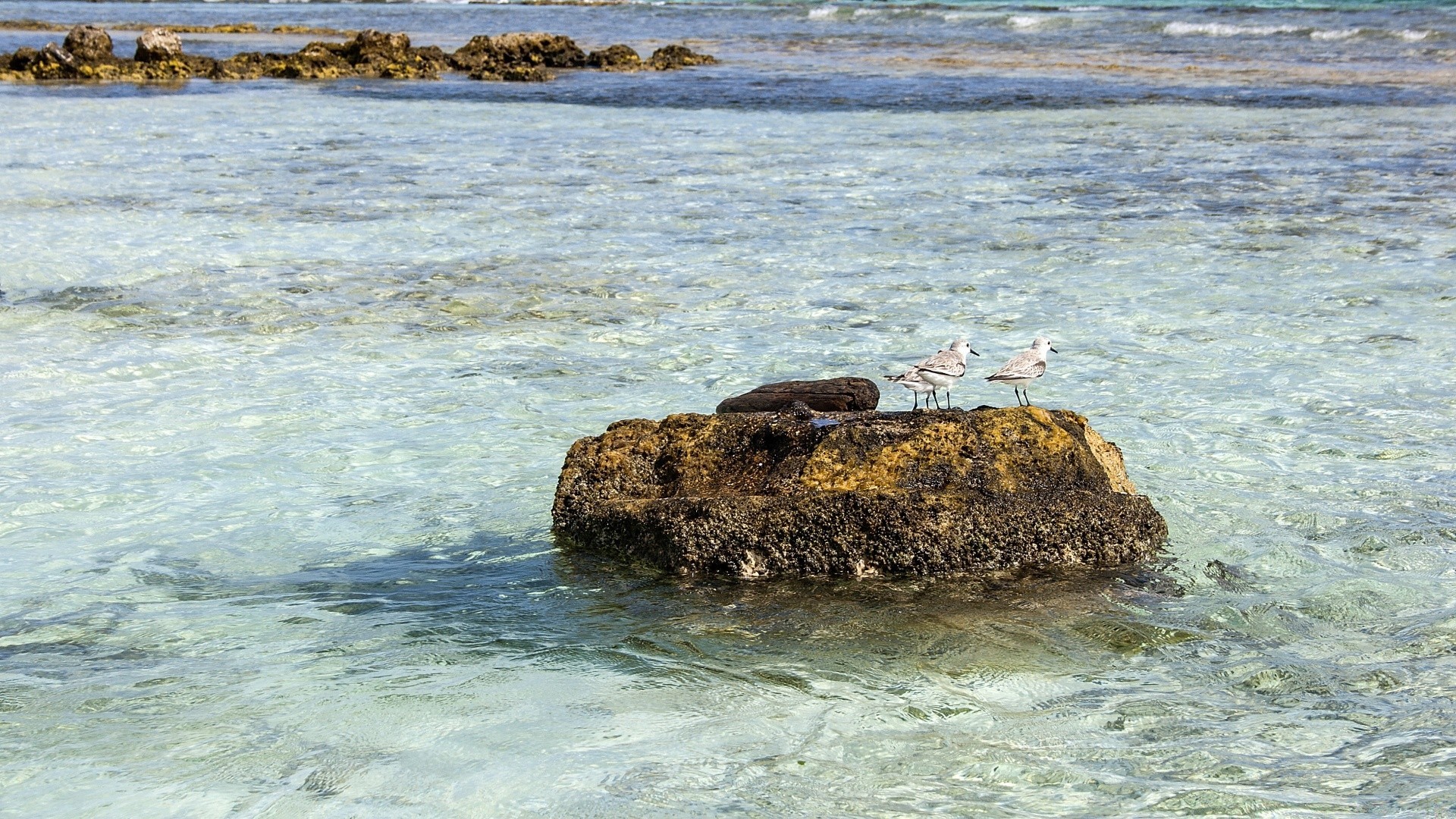 île eau mer mer océan plage voyage en plein air rock île vague paysage paysage sable nature surf été rive vacances