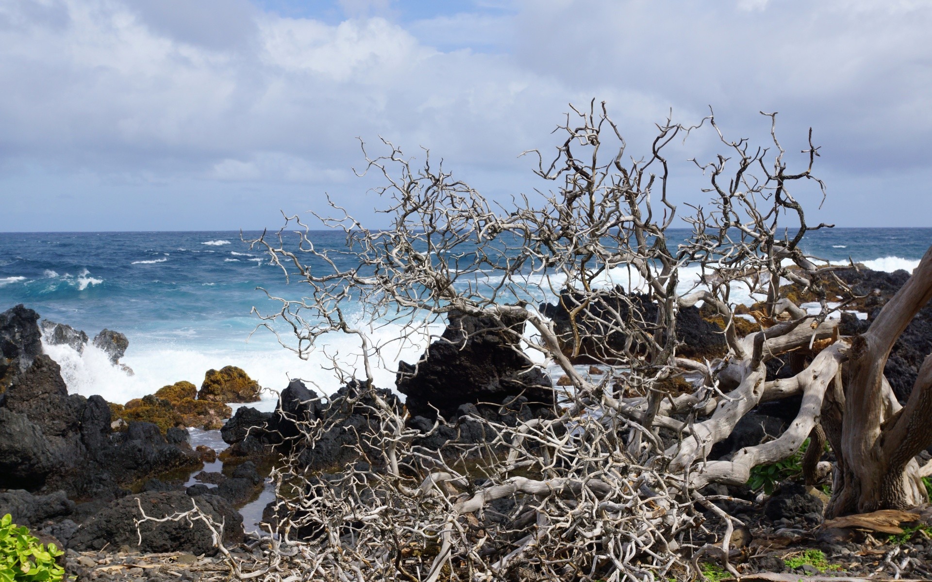 islands nature water landscape sky tree travel sea outdoors seashore environment ocean