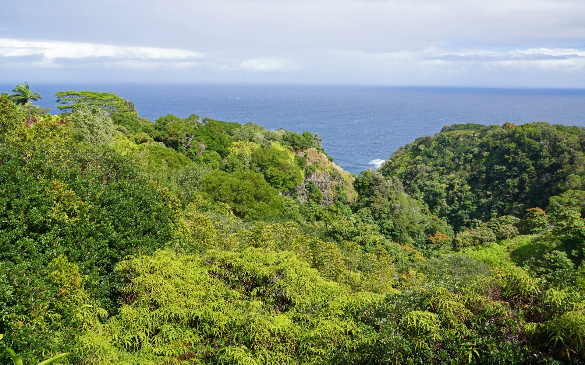 岛屿 自然 景观 树 旅游 山 热带 天空 木材 夏天 山 水 户外 雨林 植物群 风景 壮观 美丽 草