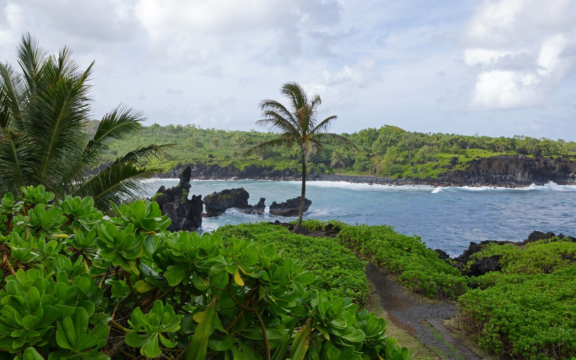 islands water seashore beach tree travel tropical island ocean landscape sea nature summer palm daylight tourism vacation scenic sky outdoors