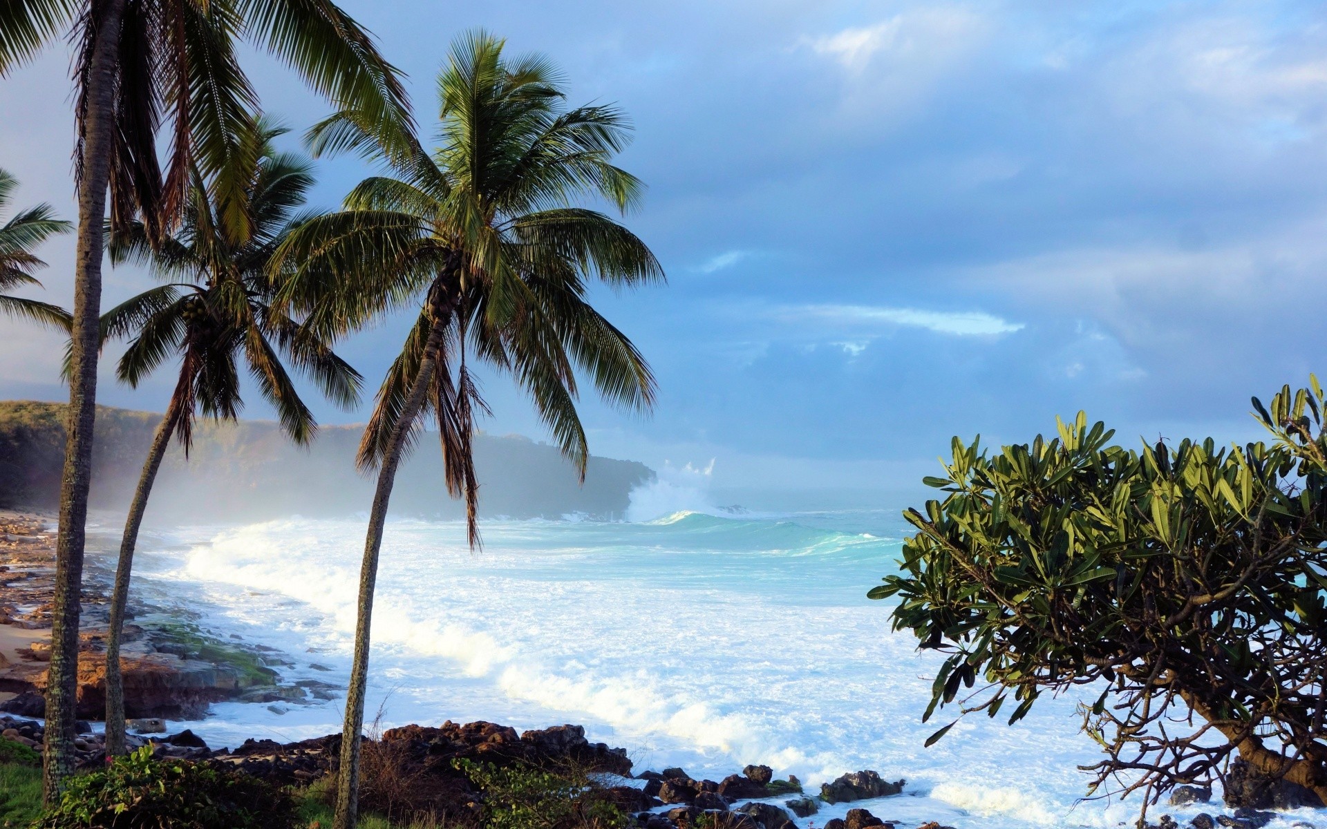 ilhas praia tropical mar palma oceano ilha areia viagens paraíso férias árvore exóticas paisagem coco resort água mar verão sol idílio