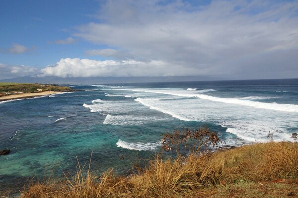 Sea surf on the azure beach