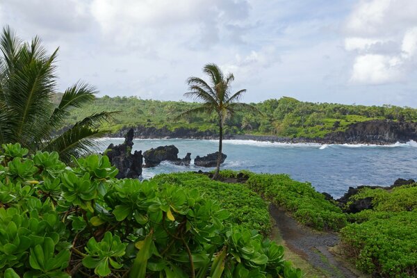 Plage tropicale sur une île déserte