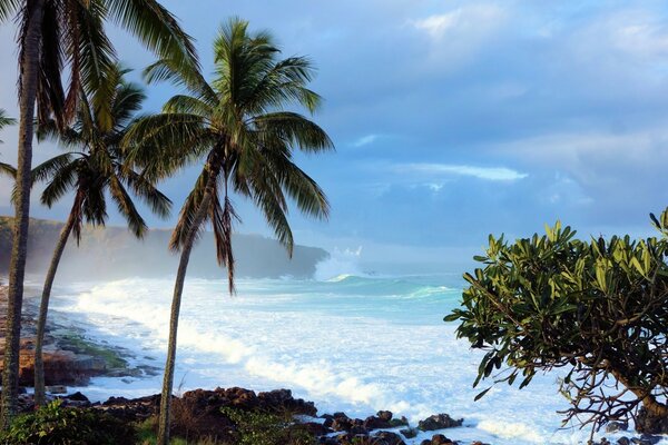 Île paradisiaque tropicale sous les nuages