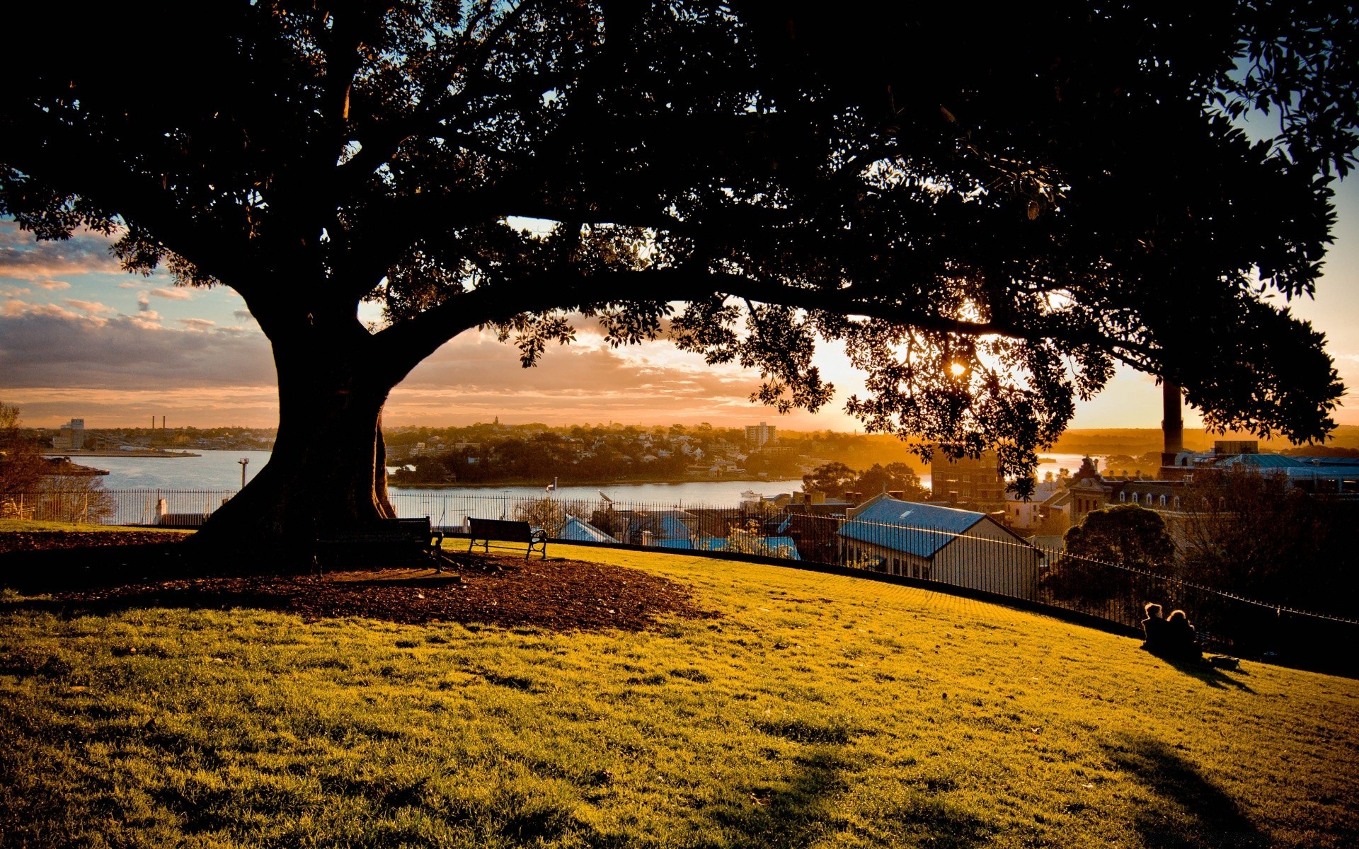 australia and oceania tree landscape sunset dawn nature evening sun travel sky light water outdoors dusk fall park beach