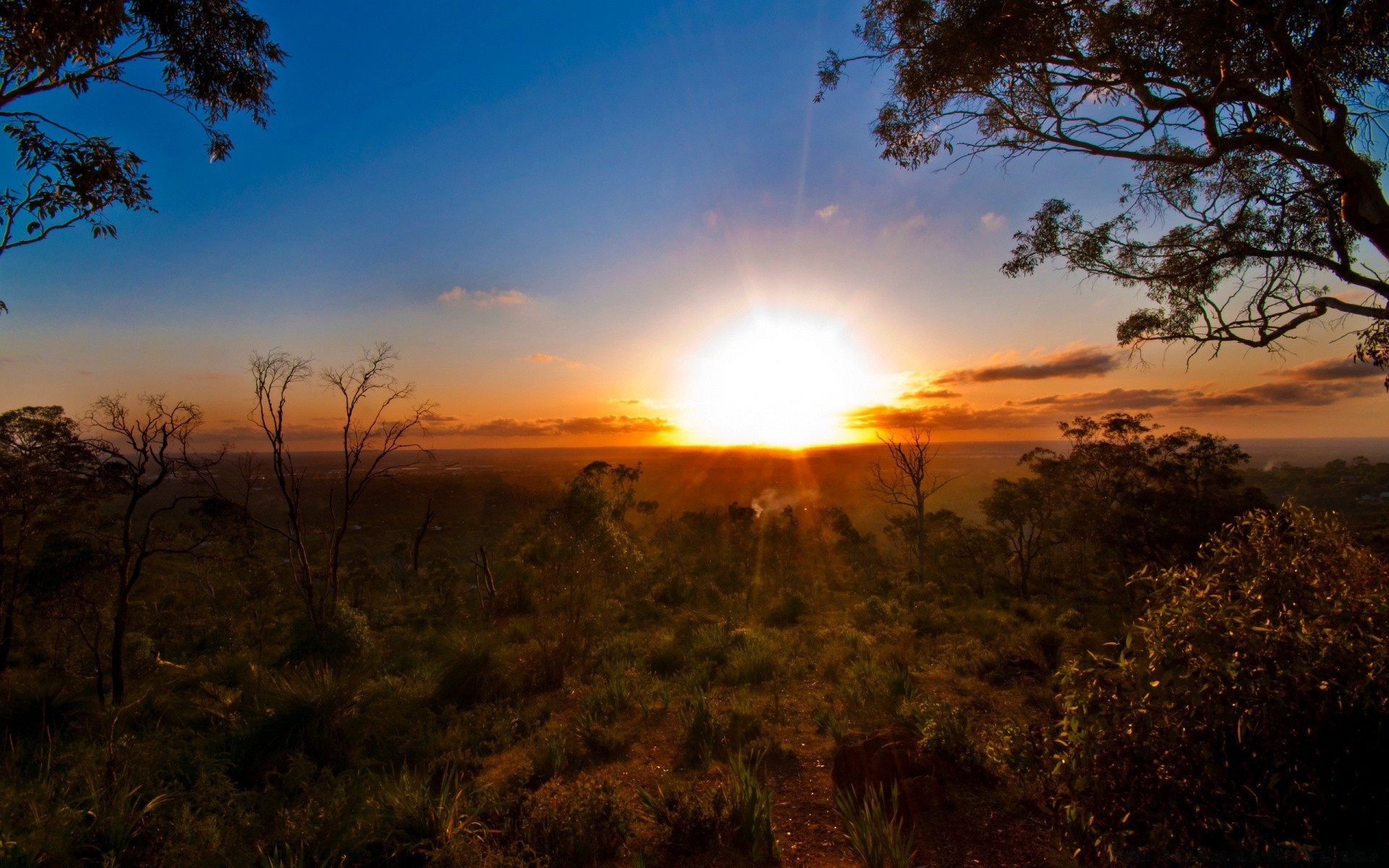 australia and oceania sunset dawn sun landscape evening tree sky nature dusk backlit silhouette fair weather light outdoors