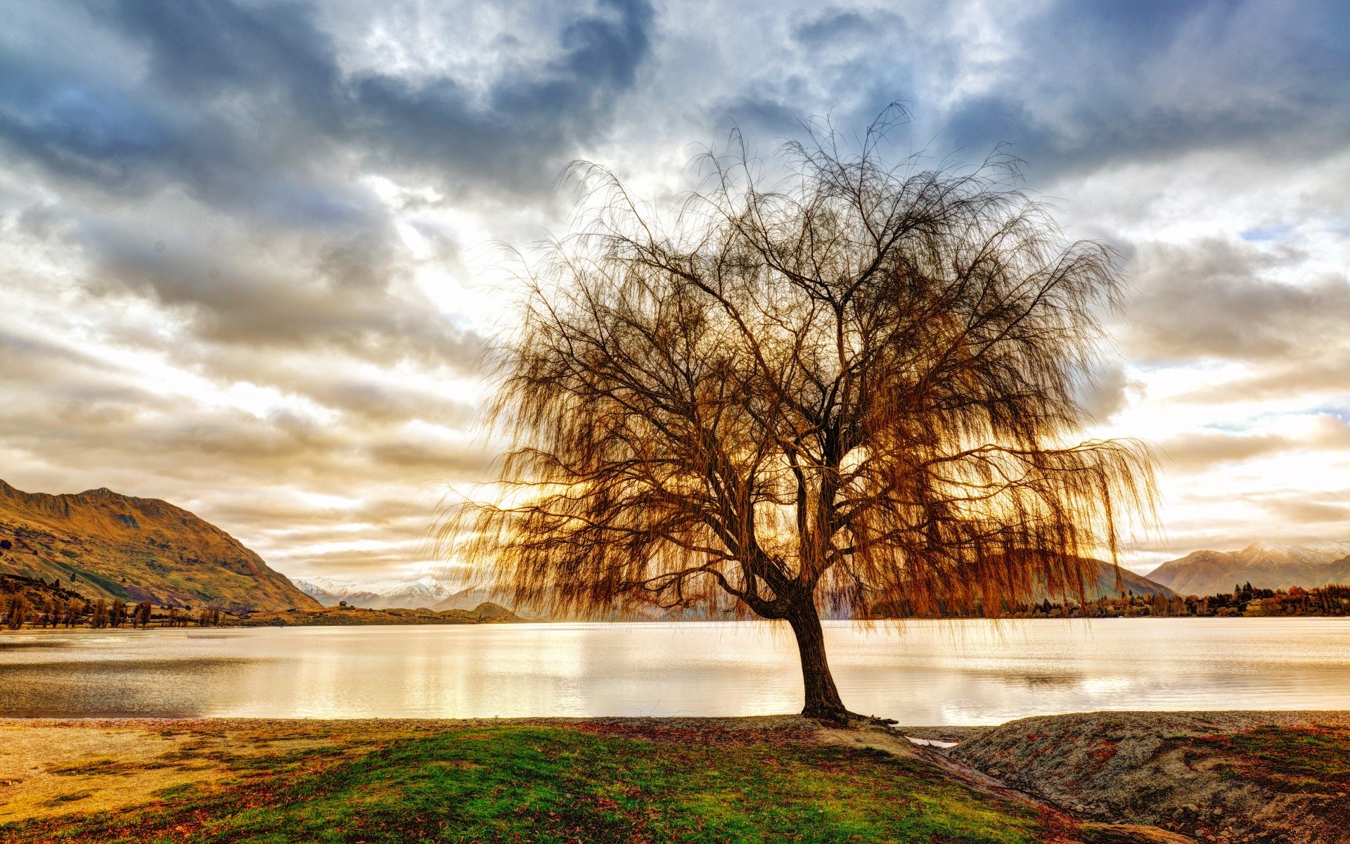 australia e oceania paesaggio natura albero alba acqua tramonto cielo autunno legno sera sole nuvola lago