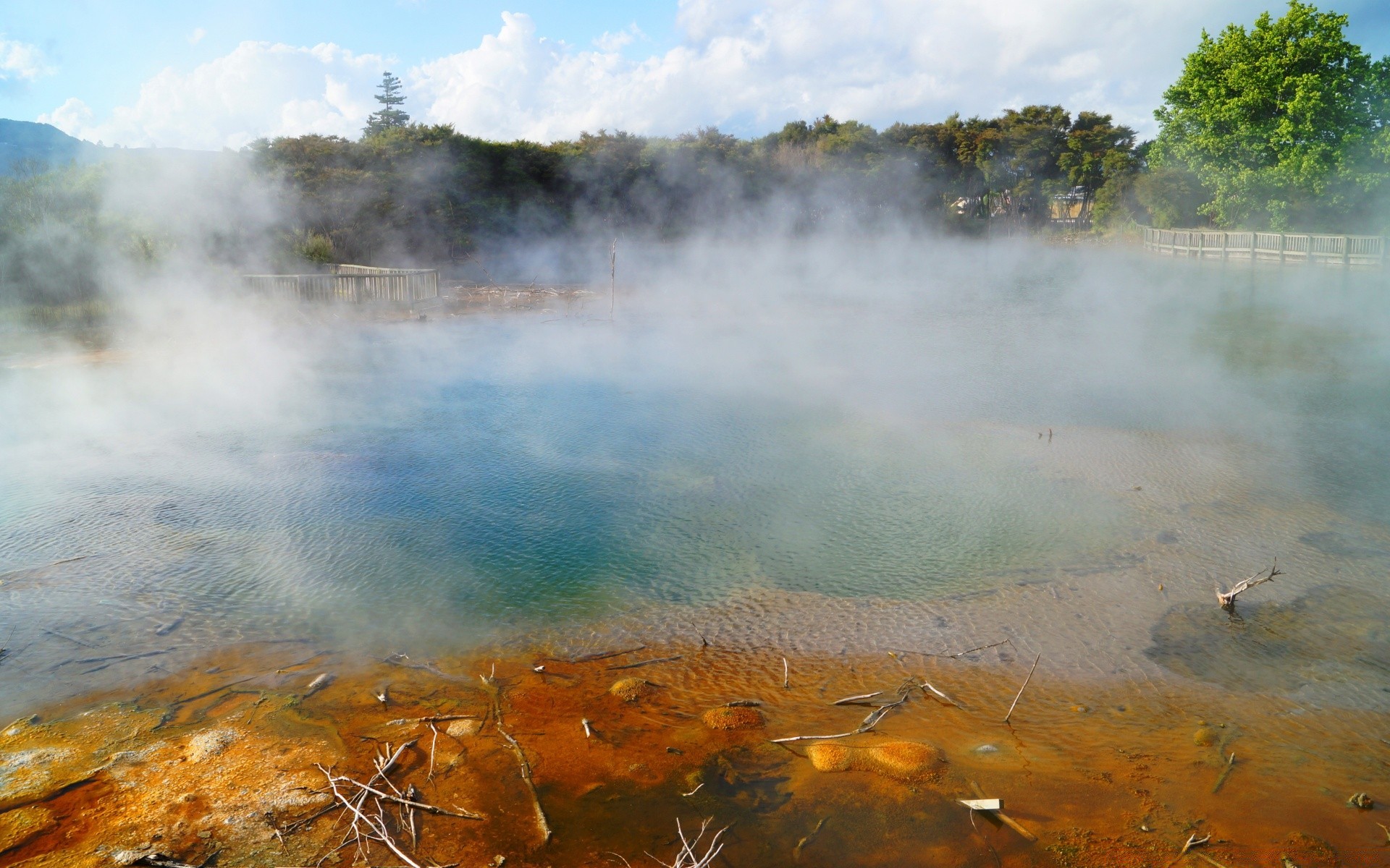 australien und ozeanien paar heißer frühling wasser geysir nebel eruption landschaft nebel rauch vulkan im freien see schwefel abgekocht heiß heiß reisen natur regenbogen