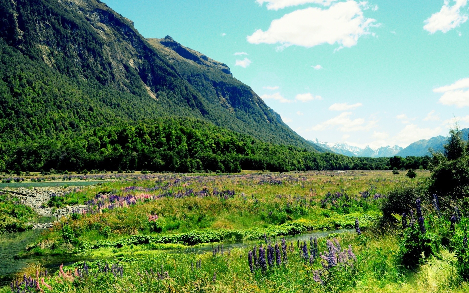 australia and oceania nature landscape outdoors mountain travel summer grass sky wood hill scenic rural countryside tree hayfield field