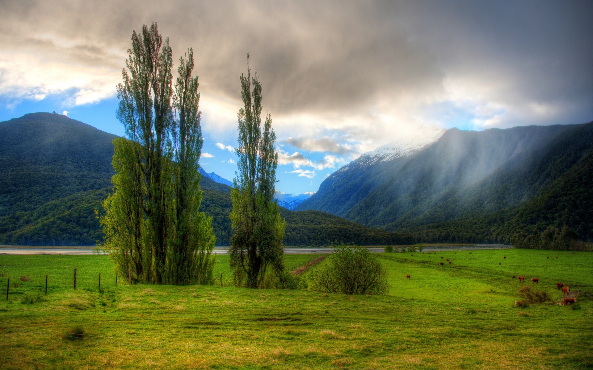 australia and oceania landscape nature mountain outdoors tree grass sky travel countryside fog dawn summer wood sunset