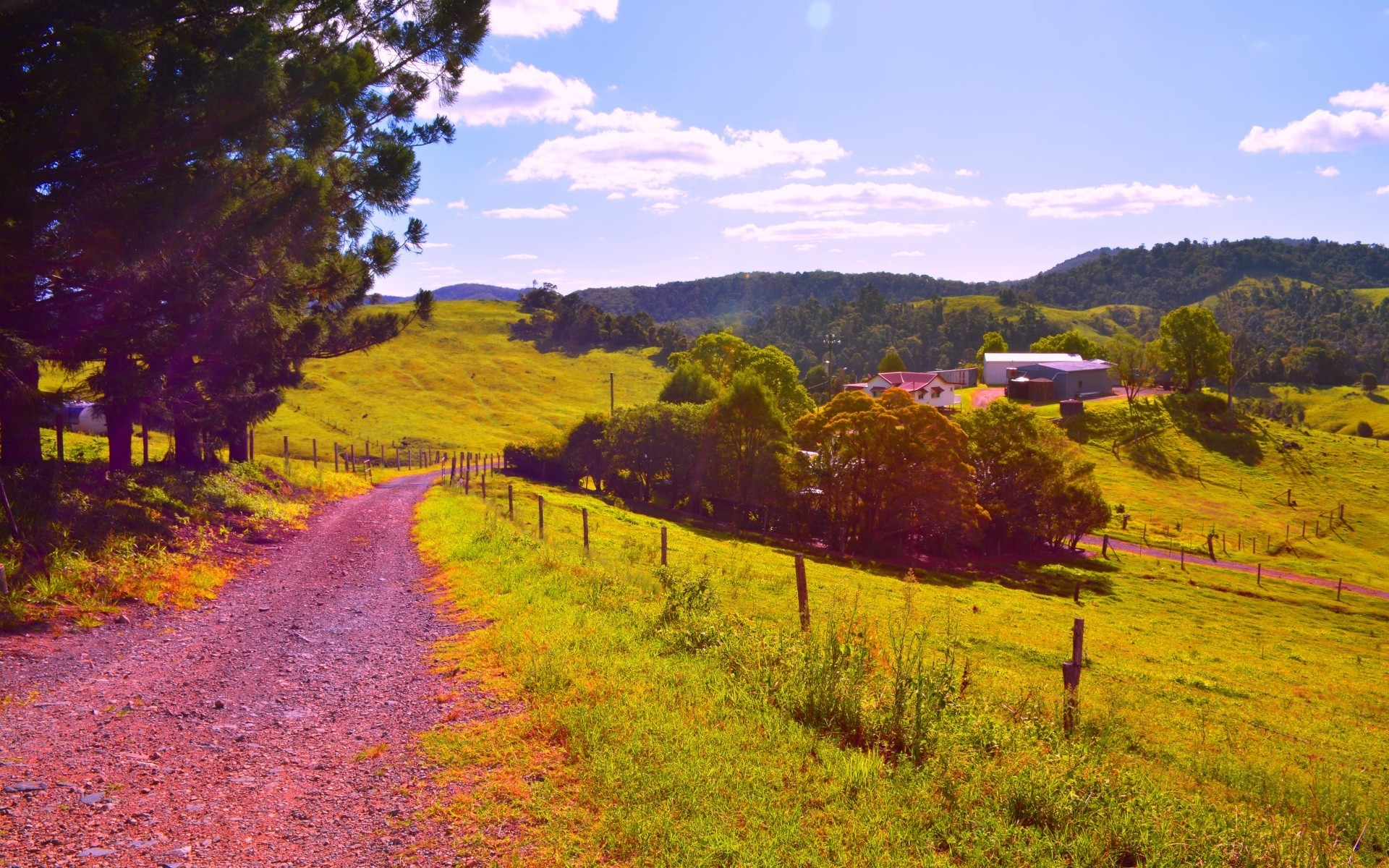 australien und ozeanien landschaft baum natur landschaftlich herbst im freien holz reisen himmel gras berge saison hügel blatt umwelt straße landschaft sommer park